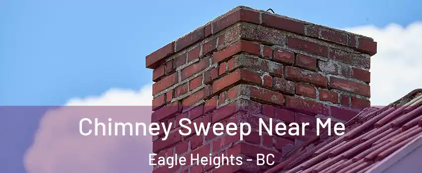  Chimney Sweep Near Me Eagle Heights - BC