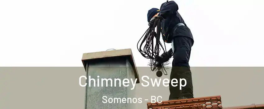  Chimney Sweep Somenos - BC