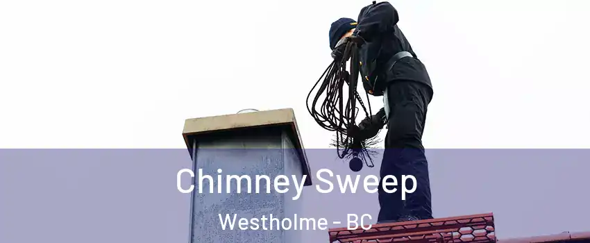  Chimney Sweep Westholme - BC