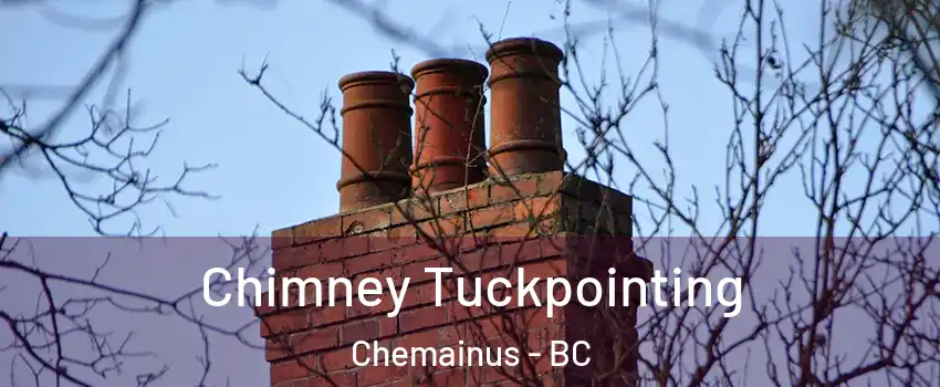  Chimney Tuckpointing Chemainus - BC