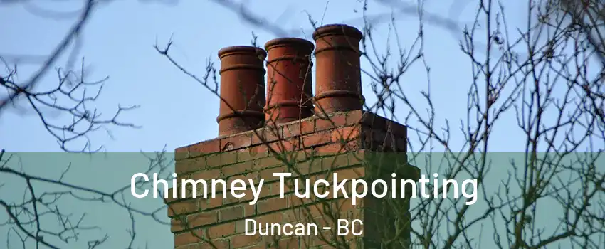  Chimney Tuckpointing Duncan - BC