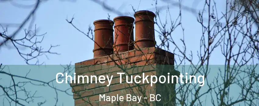  Chimney Tuckpointing Maple Bay - BC