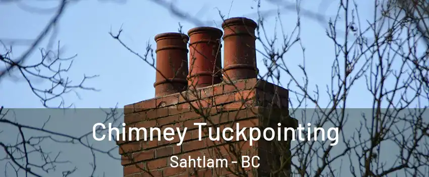  Chimney Tuckpointing Sahtlam - BC