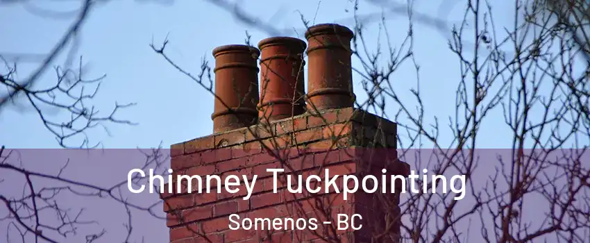  Chimney Tuckpointing Somenos - BC
