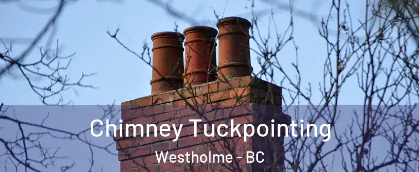  Chimney Tuckpointing Westholme - BC