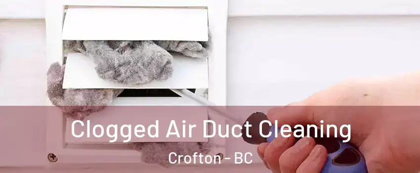  Clogged Air Duct Cleaning Crofton - BC