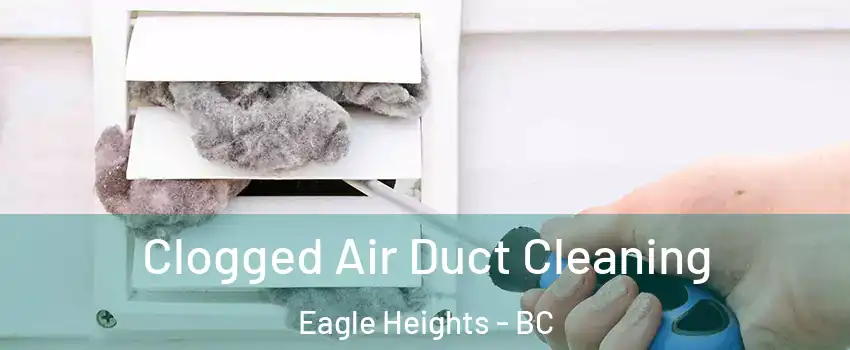  Clogged Air Duct Cleaning Eagle Heights - BC