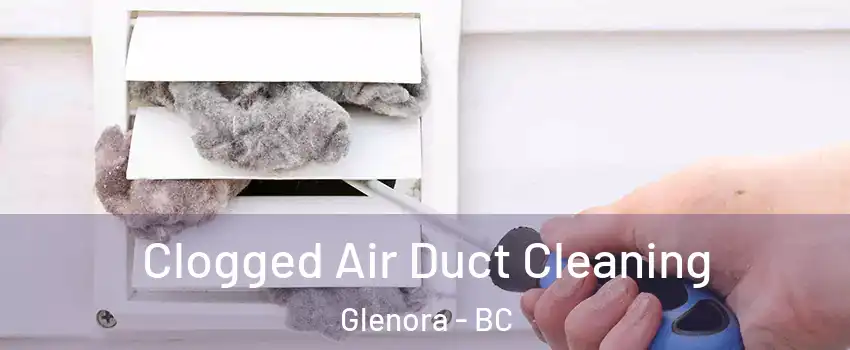  Clogged Air Duct Cleaning Glenora - BC