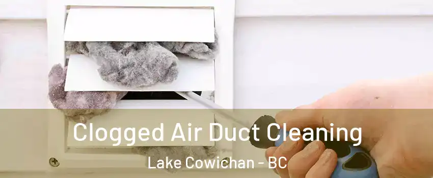  Clogged Air Duct Cleaning Lake Cowichan - BC