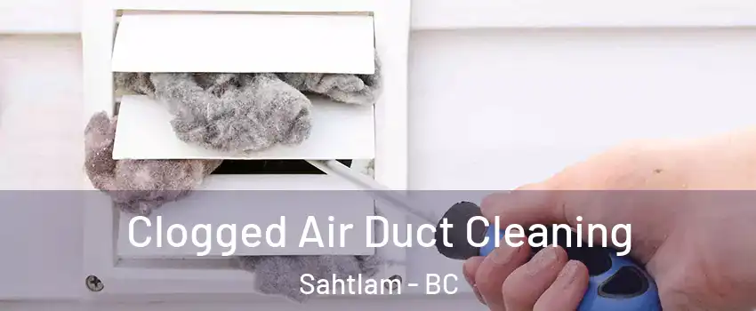  Clogged Air Duct Cleaning Sahtlam - BC