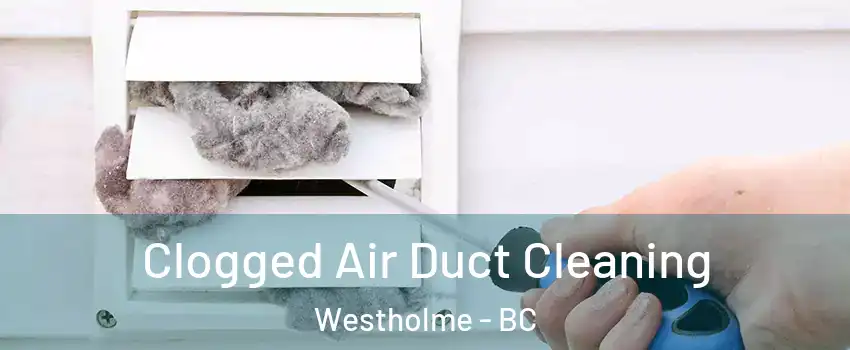  Clogged Air Duct Cleaning Westholme - BC