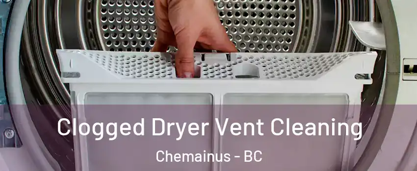  Clogged Dryer Vent Cleaning Chemainus - BC