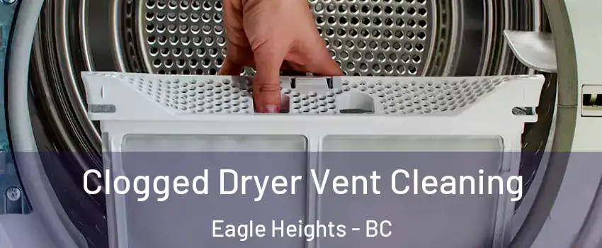  Clogged Dryer Vent Cleaning Eagle Heights - BC