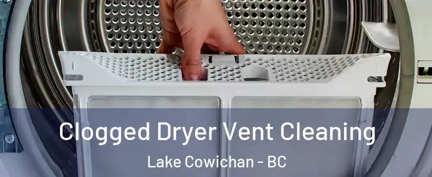  Clogged Dryer Vent Cleaning Lake Cowichan - BC