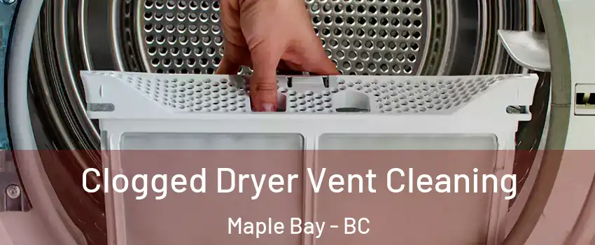  Clogged Dryer Vent Cleaning Maple Bay - BC