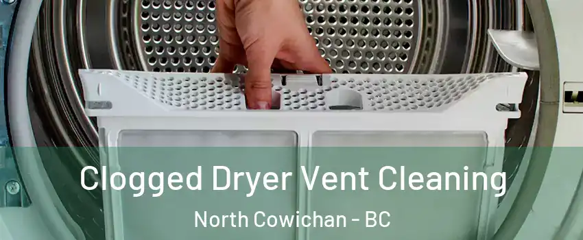  Clogged Dryer Vent Cleaning North Cowichan - BC