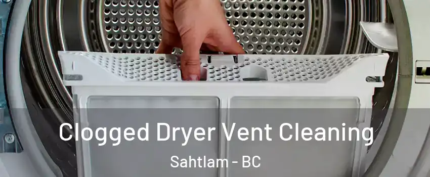  Clogged Dryer Vent Cleaning Sahtlam - BC
