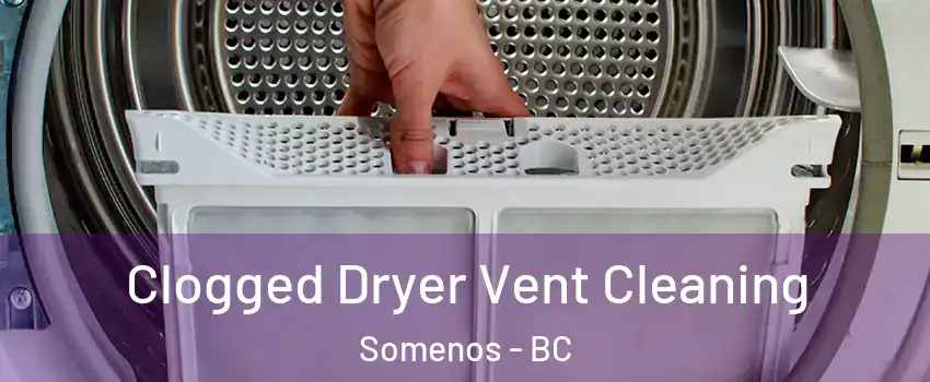  Clogged Dryer Vent Cleaning Somenos - BC