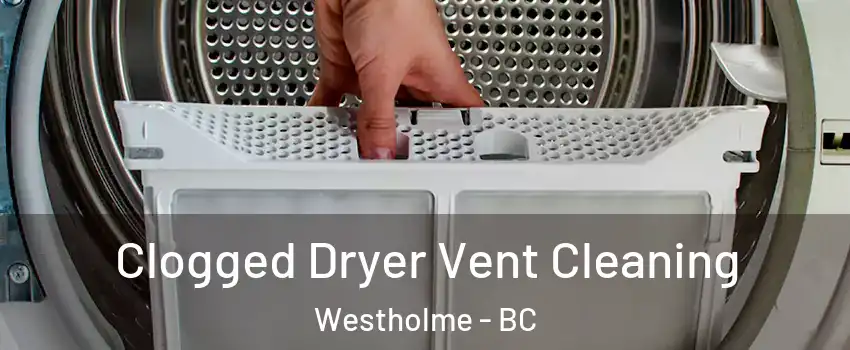  Clogged Dryer Vent Cleaning Westholme - BC