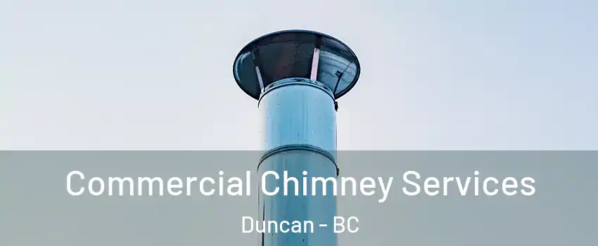 Commercial Chimney Services Duncan - BC