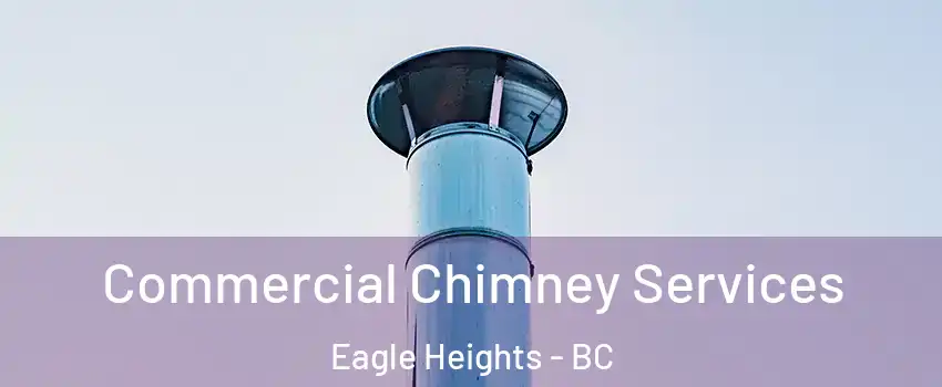  Commercial Chimney Services Eagle Heights - BC