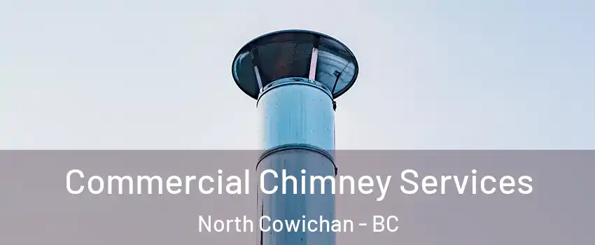  Commercial Chimney Services North Cowichan - BC