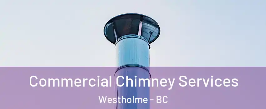  Commercial Chimney Services Westholme - BC