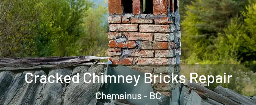 Cracked Chimney Bricks Repair Chemainus - BC