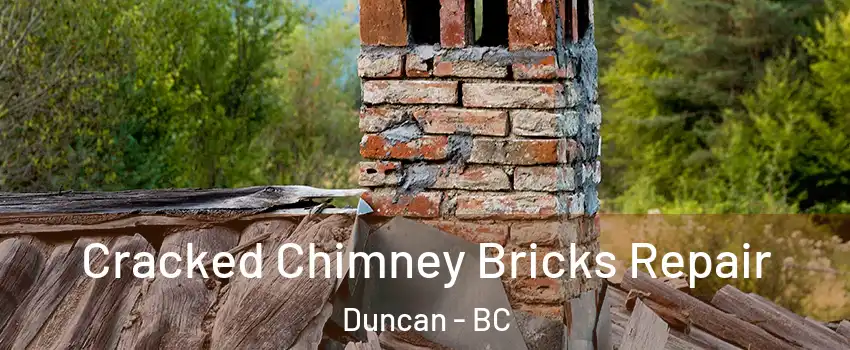  Cracked Chimney Bricks Repair Duncan - BC