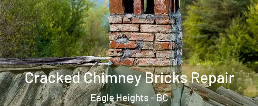  Cracked Chimney Bricks Repair Eagle Heights - BC