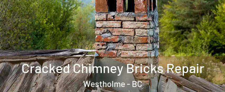  Cracked Chimney Bricks Repair Westholme - BC