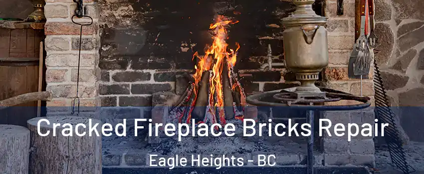  Cracked Fireplace Bricks Repair Eagle Heights - BC