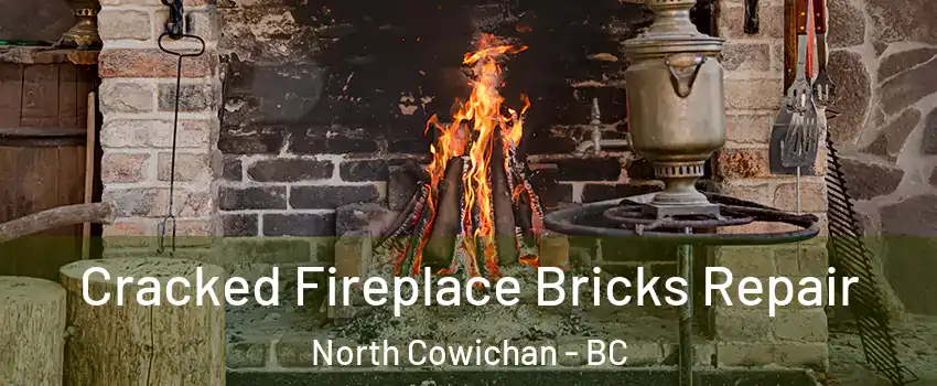  Cracked Fireplace Bricks Repair North Cowichan - BC