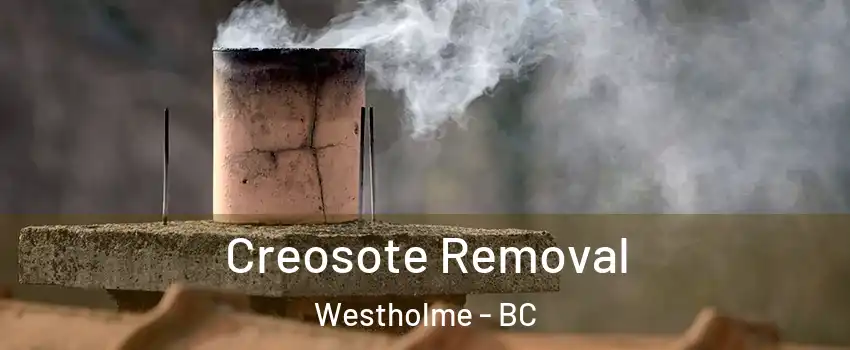  Creosote Removal Westholme - BC