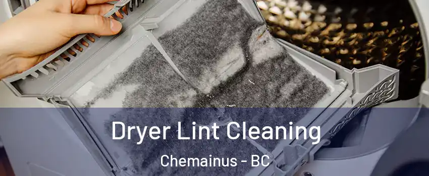  Dryer Lint Cleaning Chemainus - BC