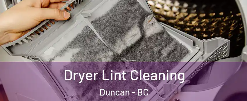 Dryer Lint Cleaning Duncan - BC