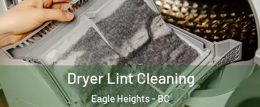  Dryer Lint Cleaning Eagle Heights - BC