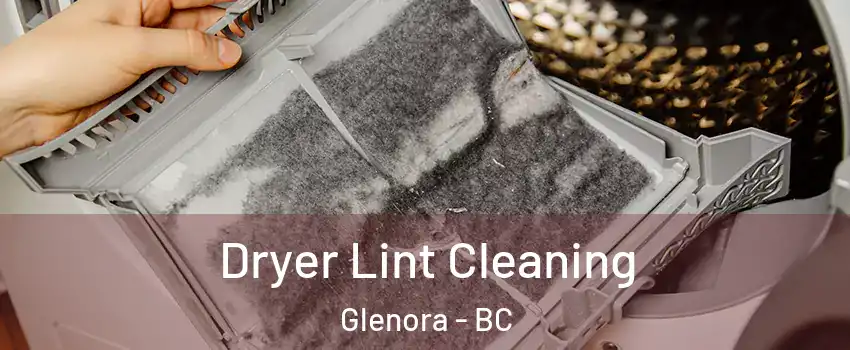  Dryer Lint Cleaning Glenora - BC