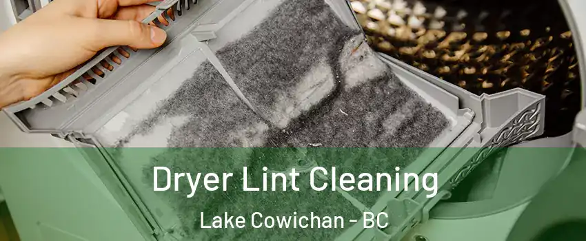  Dryer Lint Cleaning Lake Cowichan - BC