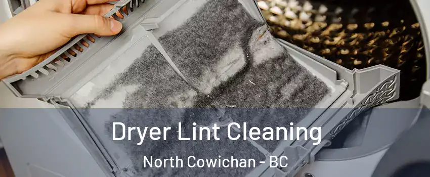  Dryer Lint Cleaning North Cowichan - BC
