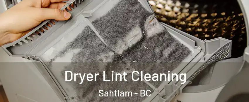  Dryer Lint Cleaning Sahtlam - BC