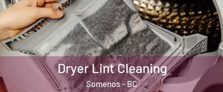  Dryer Lint Cleaning Somenos - BC