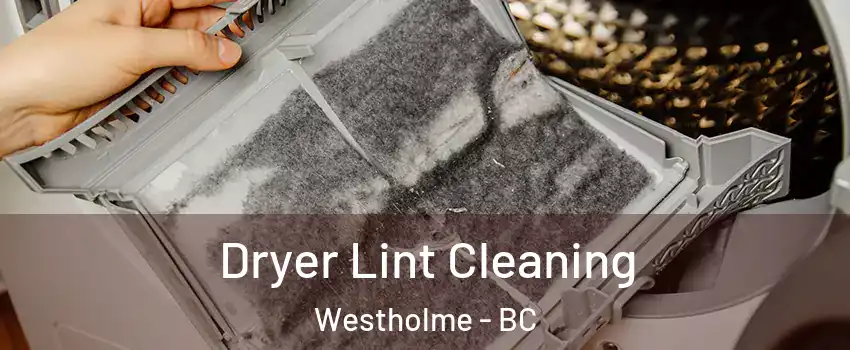  Dryer Lint Cleaning Westholme - BC