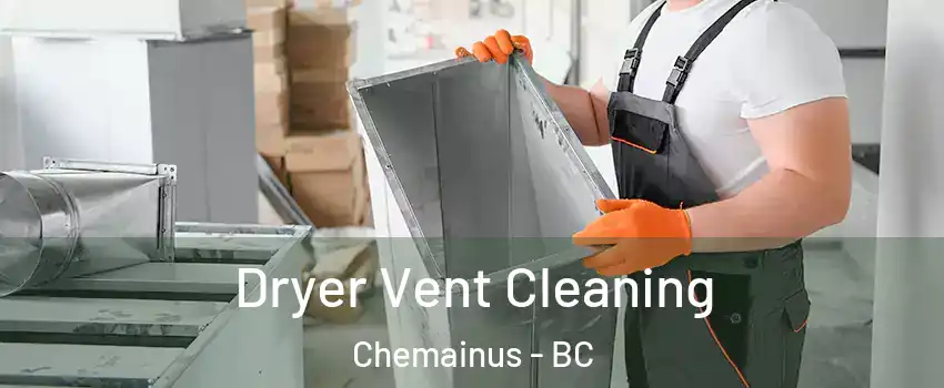  Dryer Vent Cleaning Chemainus - BC