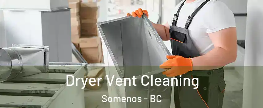  Dryer Vent Cleaning Somenos - BC