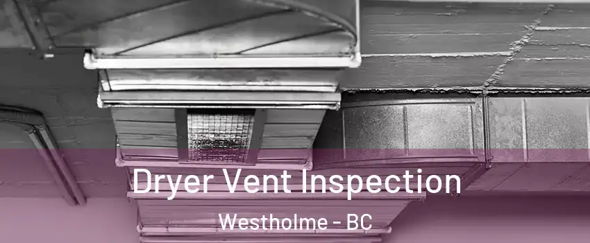  Dryer Vent Inspection Westholme - BC