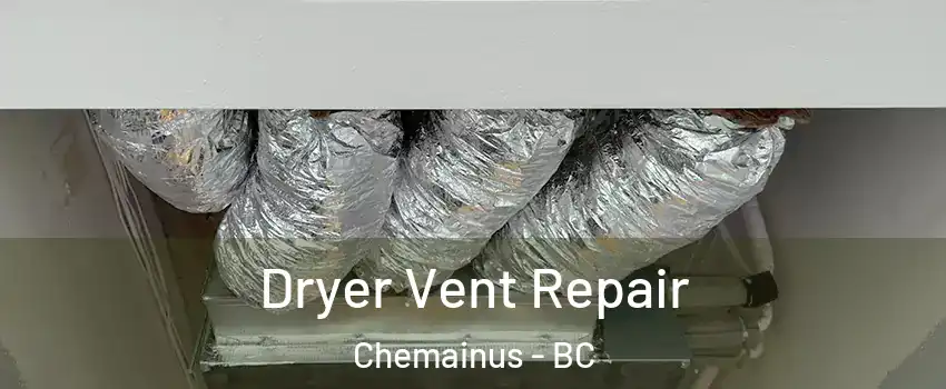  Dryer Vent Repair Chemainus - BC