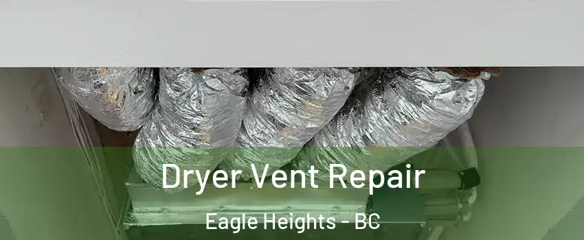  Dryer Vent Repair Eagle Heights - BC