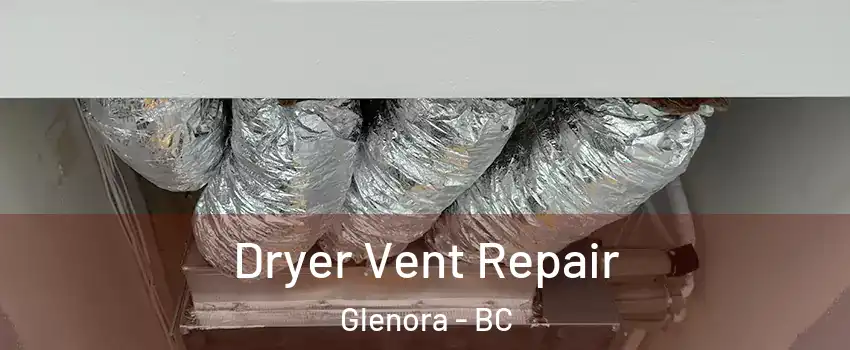  Dryer Vent Repair Glenora - BC