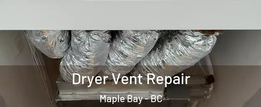  Dryer Vent Repair Maple Bay - BC